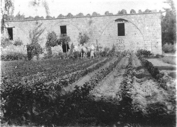 المنشية | موسوعة القرى الفلسطينية