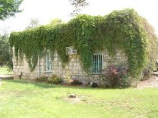 كويكات | موسوعة القرى الفلسطينية