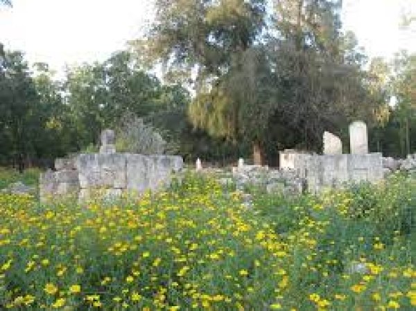 كويكات | موسوعة القرى الفلسطينية