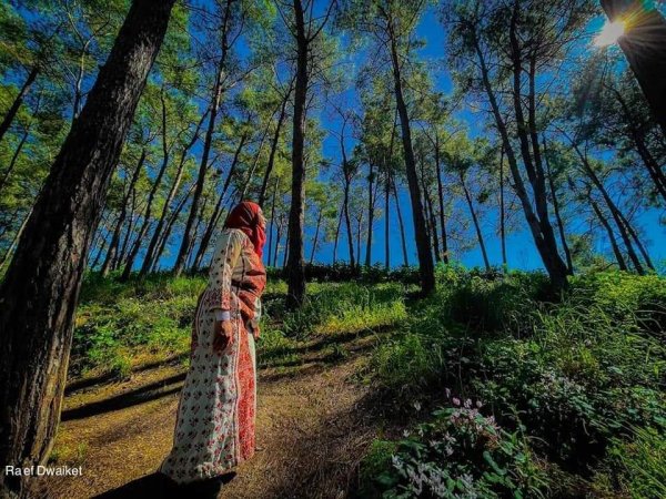 خبيزة / قرى الروحة | موسوعة القرى الفلسطينية