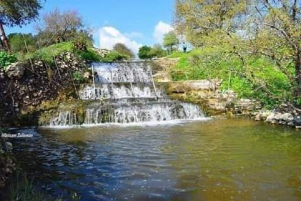 خبيزة / قرى الروحة | موسوعة القرى الفلسطينية