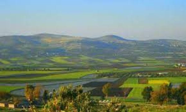 عَرَّابَة | موسوعة القرى الفلسطينية