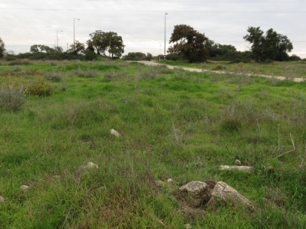 عرب الضمايرة | موسوعة القرى الفلسطينية