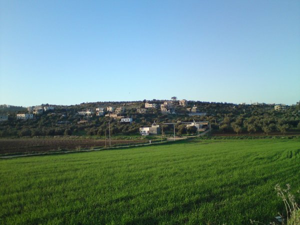 رُمَّانَة | موسوعة القرى الفلسطينية