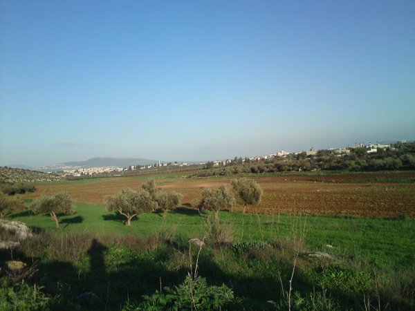 رُمَّانَة | موسوعة القرى الفلسطينية