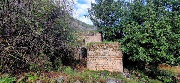 الظَاهِريَّة الفُوقَا | موسوعة القرى الفلسطينية