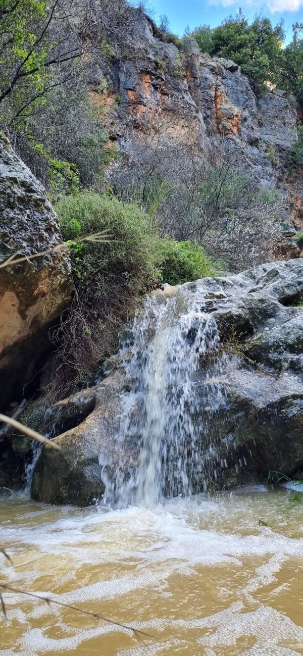 الظَاهِريَّة الفُوقَا | موسوعة القرى الفلسطينية