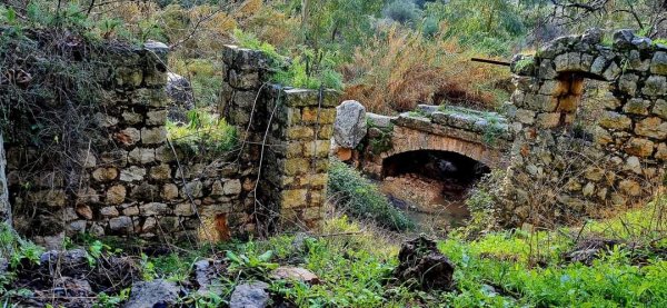 الظَاهِريَّة الفُوقَا | موسوعة القرى الفلسطينية