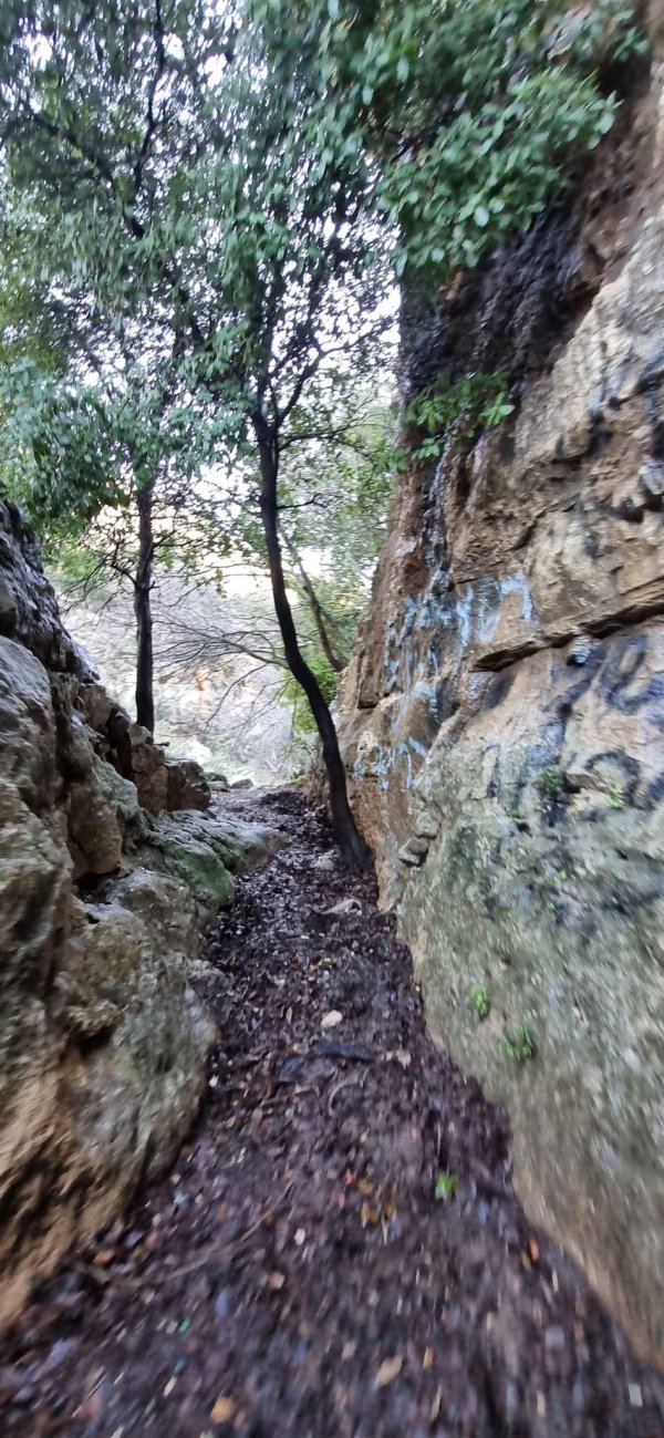 الظَاهِريَّة الفُوقَا | موسوعة القرى الفلسطينية