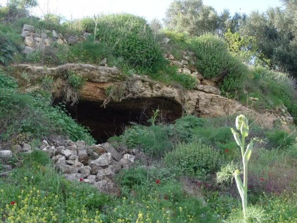 مُغُرْ الخَيّطْ/مَغَار الخَيّطْ | موسوعة القرى الفلسطينية