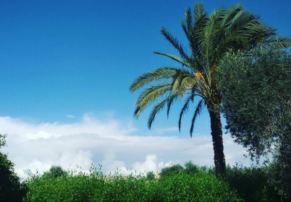 عَبَسَانْ الكبيرة- محافظة خاَنْ يُونِسْ | موسوعة القرى الفلسطينية