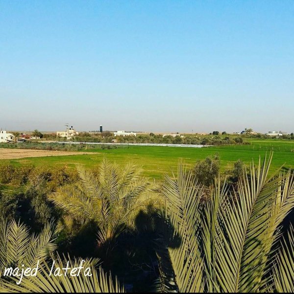 عَبَسَانْ الكبيرة- محافظة خاَنْ يُونِسْ | موسوعة القرى الفلسطينية