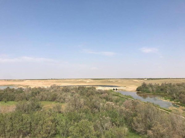 عَبَسَانْ الكبيرة- محافظة خاَنْ يُونِسْ | موسوعة القرى الفلسطينية