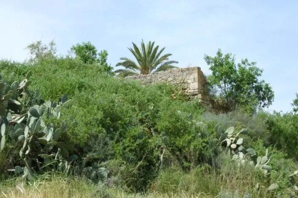 بَيتْ طِيْمَا | موسوعة القرى الفلسطينية