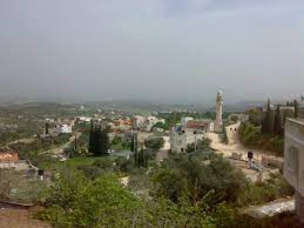 الطَرم | موسوعة القرى الفلسطينية