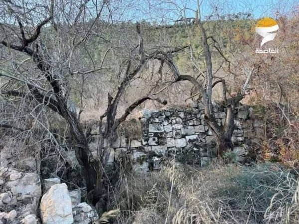 دير الشيخ / من قرى عرقوب | موسوعة القرى الفلسطينية