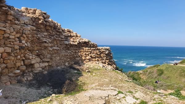 أرسوف | موسوعة القرى الفلسطينية