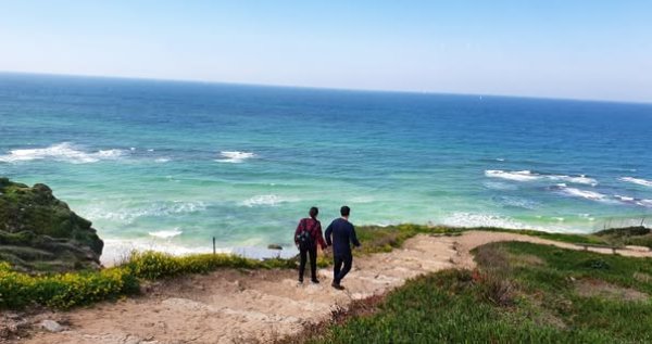 أرسوف | موسوعة القرى الفلسطينية