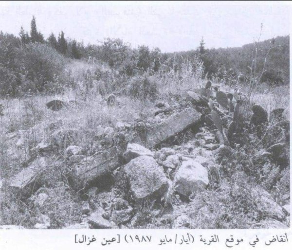 عين غزال / قرى جبل الكرمل | موسوعة القرى الفلسطينية