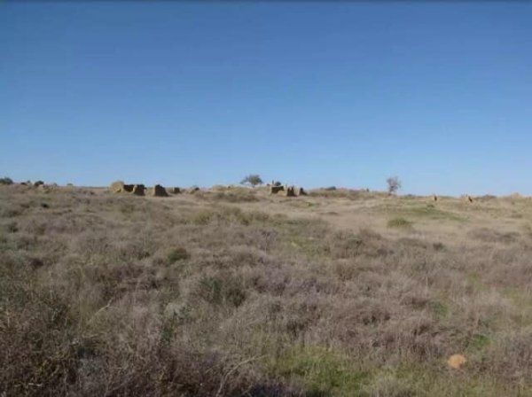 المَنْصُورَة | موسوعة القرى الفلسطينية