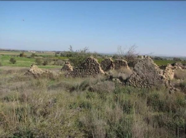 المَنْصُورَة | موسوعة القرى الفلسطينية