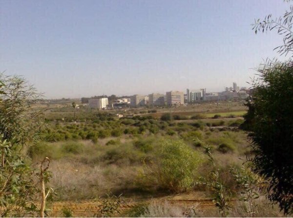 وادي حنين | موسوعة القرى الفلسطينية