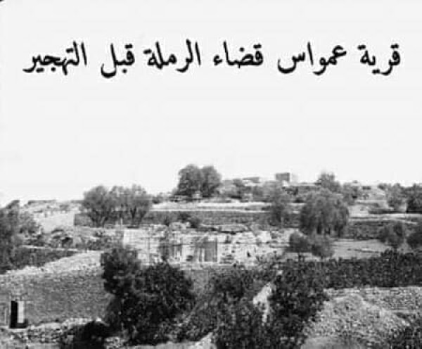 عمواس/ قرى اللطرون / بين رام الله والرملة | موسوعة القرى الفلسطينية