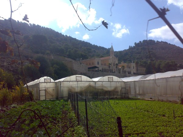 أرطاس / من قرى عرقوب | موسوعة القرى الفلسطينية