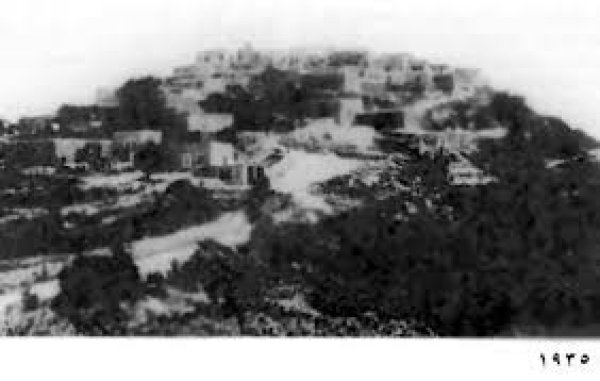 المنشية | موسوعة القرى الفلسطينية