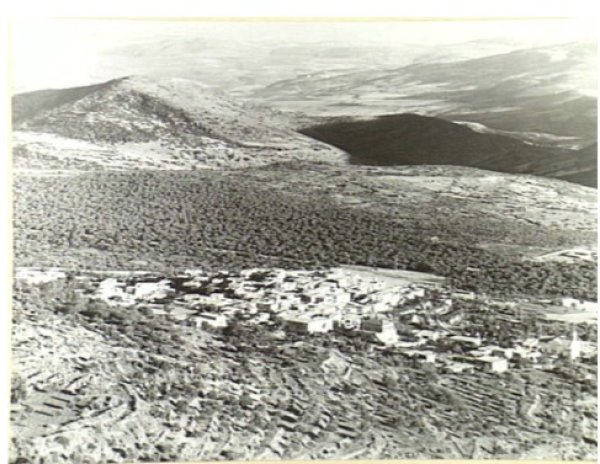 الرامة / من قرى الجليل الأعلى | موسوعة القرى الفلسطينية