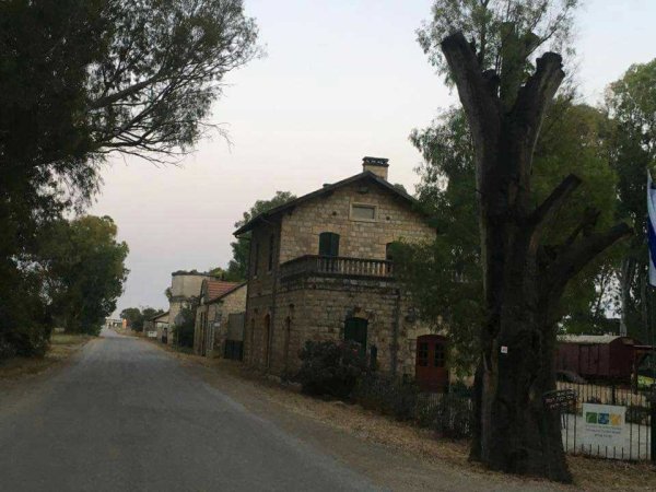 تل الشمام/ خربة دبّاشَة | موسوعة القرى الفلسطينية