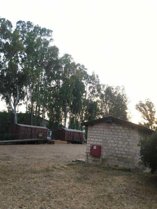 تل الشمام/ خربة دبّاشَة | موسوعة القرى الفلسطينية