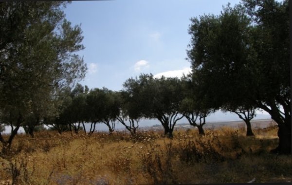 دَلاّتَه/ دَلاّتَة | موسوعة القرى الفلسطينية