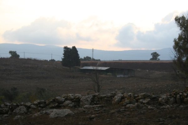 دَلاّتَه/ دَلاّتَة | موسوعة القرى الفلسطينية