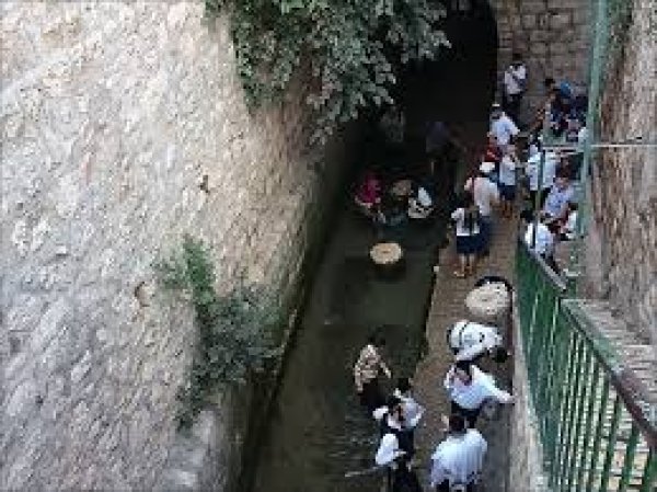 سلوان / حامية القدس | موسوعة القرى الفلسطينية