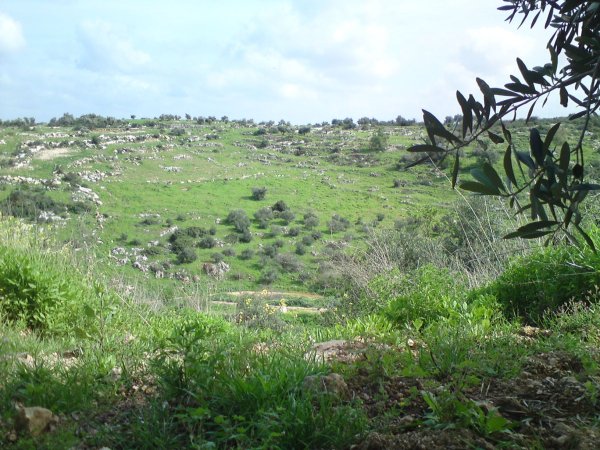 رُمَّانَة | موسوعة القرى الفلسطينية