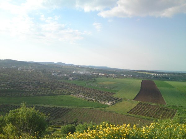 رُمَّانَة | موسوعة القرى الفلسطينية