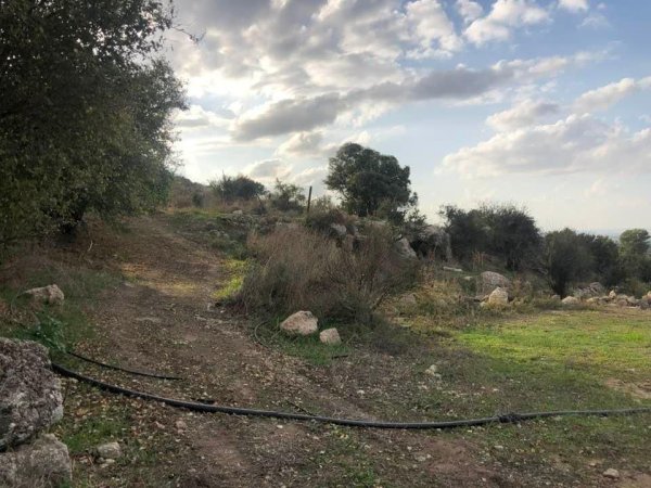 خربة اسْم اللَّه | موسوعة القرى الفلسطينية