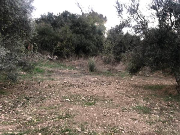 خربة اسْم اللَّه | موسوعة القرى الفلسطينية