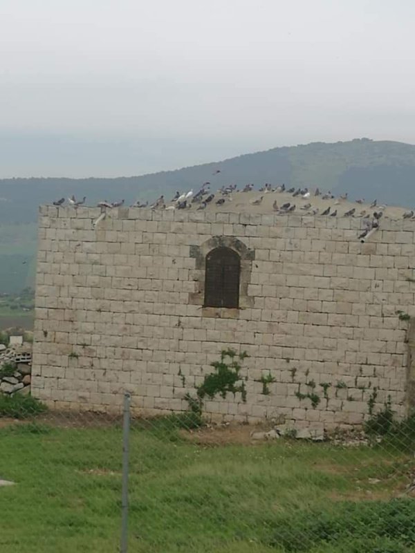 الكُفَيْر | موسوعة القرى الفلسطينية