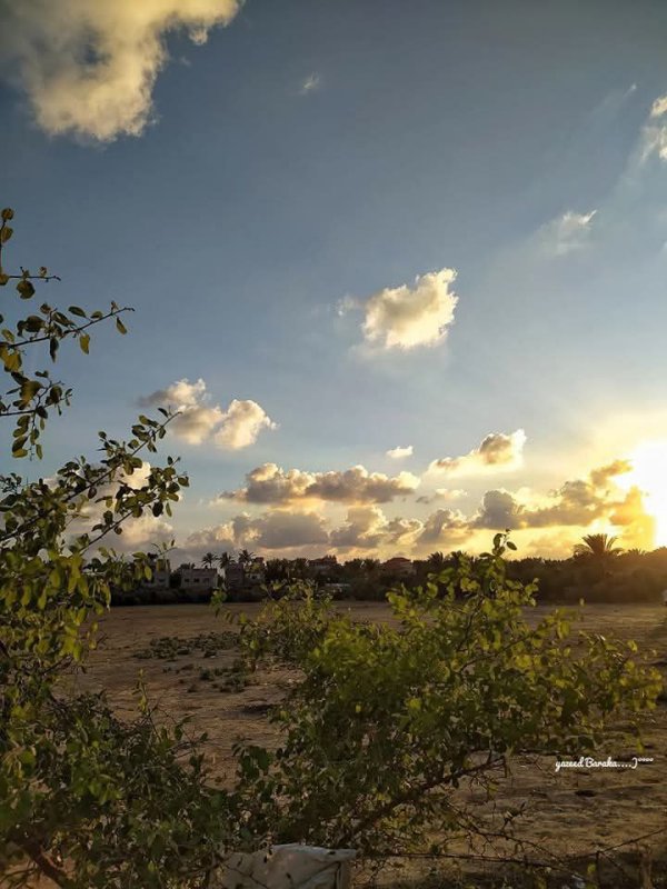 مدينة دَيْر البَلَحْ/ المحافظة الوسطى | موسوعة القرى الفلسطينية