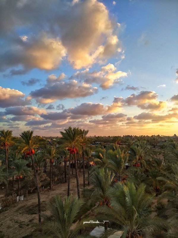 مدينة دَيْر البَلَحْ/ المحافظة الوسطى | موسوعة القرى الفلسطينية