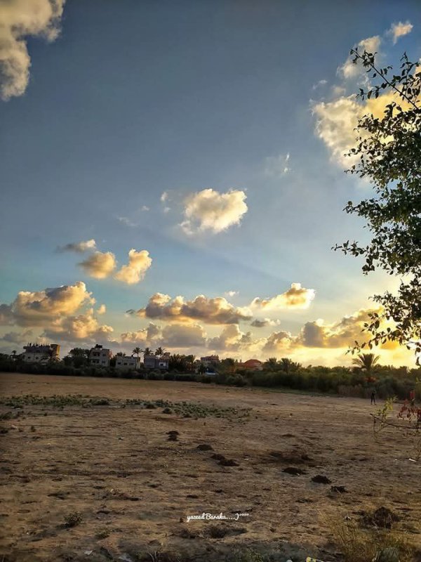 مدينة دَيْر البَلَحْ/ المحافظة الوسطى | موسوعة القرى الفلسطينية