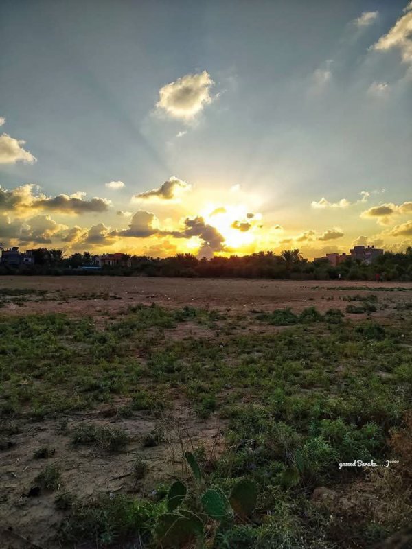 مدينة دَيْر البَلَحْ/ المحافظة الوسطى | موسوعة القرى الفلسطينية