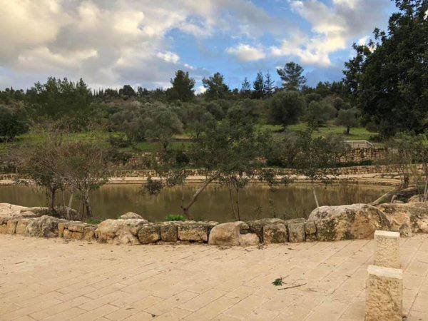 عمواس/ قرى اللطرون / بين رام الله والرملة | موسوعة القرى الفلسطينية