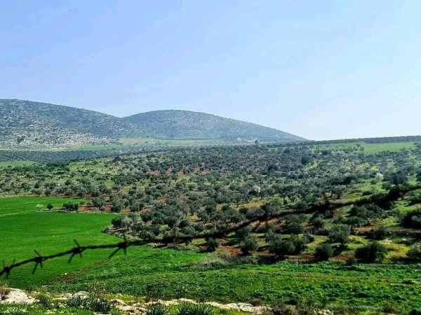 الكُفَيْر | موسوعة القرى الفلسطينية