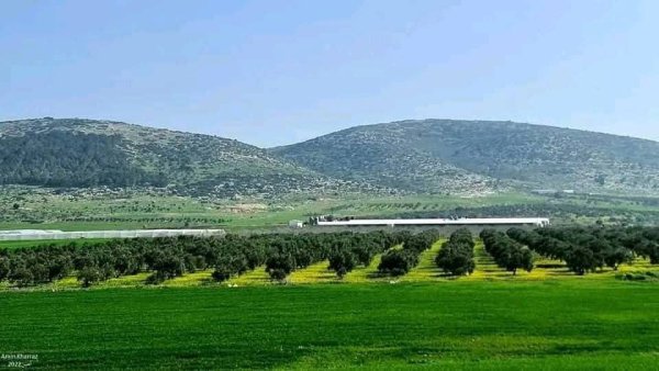 الكُفَيْر | موسوعة القرى الفلسطينية