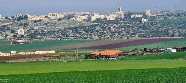 الكُفَيْر | موسوعة القرى الفلسطينية