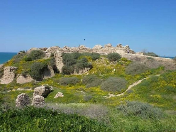 أرسوف | موسوعة القرى الفلسطينية