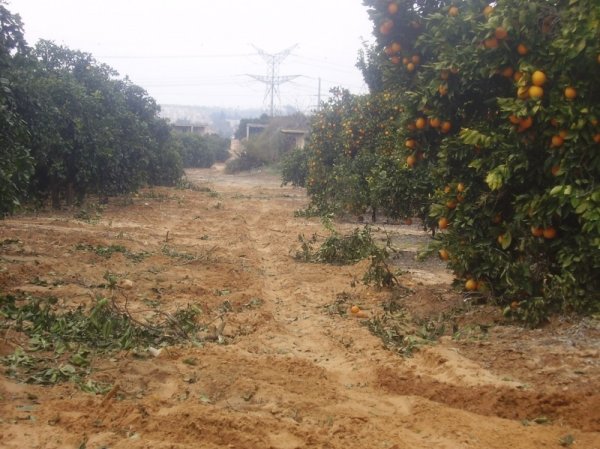 بير سالم / بئر سالم | موسوعة القرى الفلسطينية